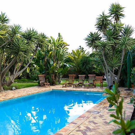 Secret Garden Guesthouse Bloubergstrand Εξωτερικό φωτογραφία