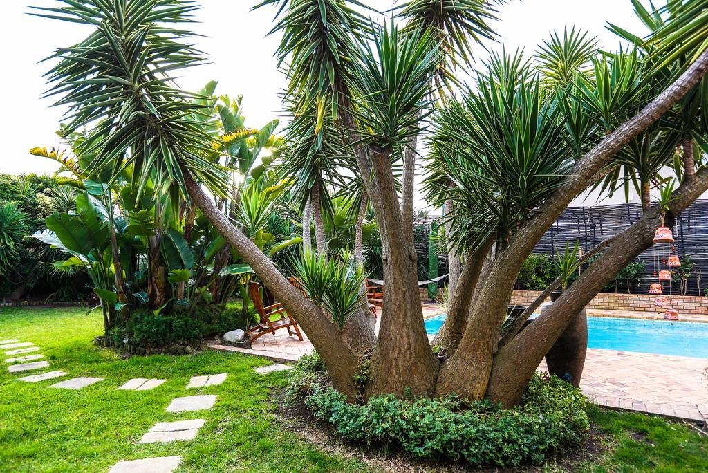 Secret Garden Guesthouse Bloubergstrand Εξωτερικό φωτογραφία
