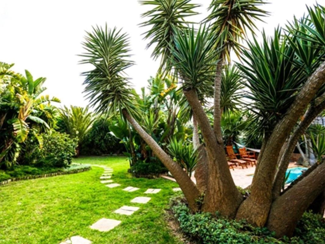 Secret Garden Guesthouse Bloubergstrand Εξωτερικό φωτογραφία