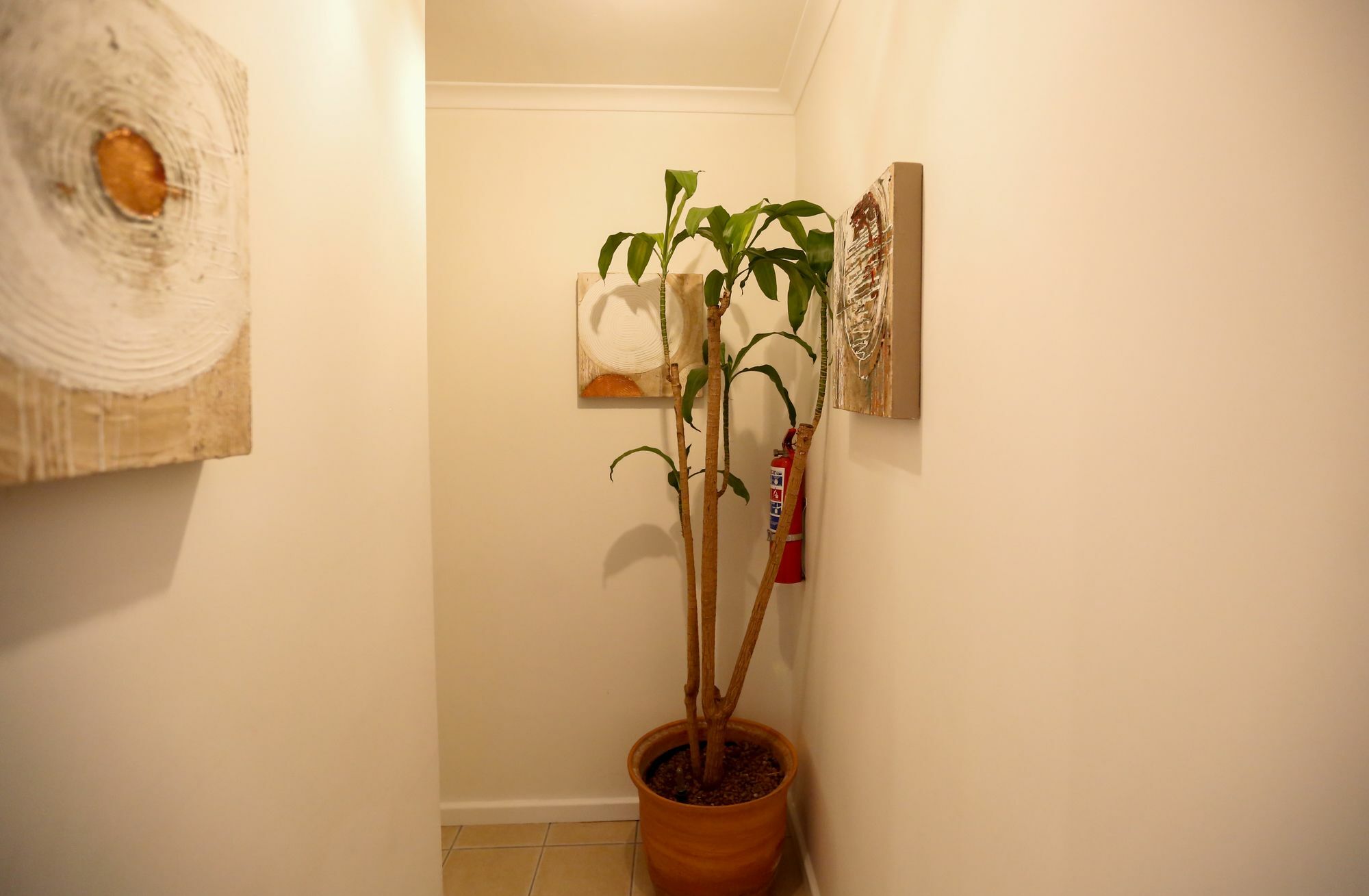 Secret Garden Guesthouse Bloubergstrand Εξωτερικό φωτογραφία